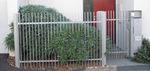 Fence-1.jpg